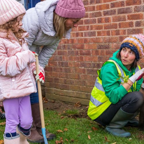 Tree Planting  6