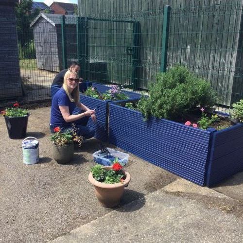 RaisedBeds