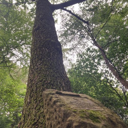PGL09062225)
