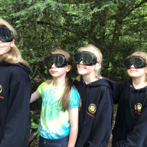 PGL09062227)