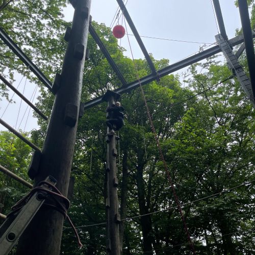 PGL0906229)